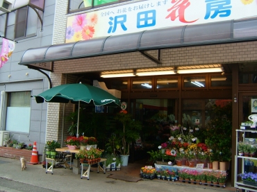 「沢田花房」　（富山県砺波市）の花屋店舗写真4